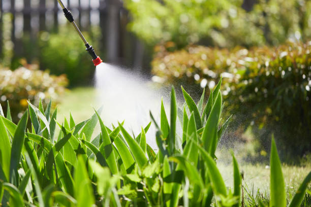 Tamper-Resistant Bait Stations for Rodents in New Vienna