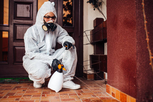 Attic and Crawl Space Rodent Treatment in New Vienna