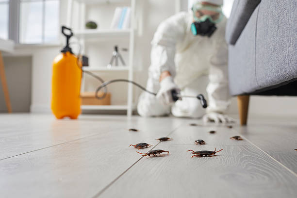 Commercial Rodent Management in New Vienna